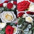 Collage of roses