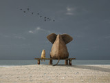elephant and dog sit on a beach