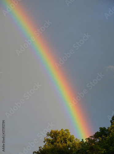 Photo: regenbogen regenbogen
