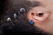 hair cutting