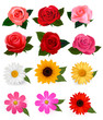Vector: Big set of beautiful colorful flowers. Vector illustration. Big set of beautiful colorful flowers. Vector illustration.
