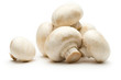 Champignon on a white background Champignon on a white background