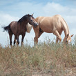 Photo: Friends Friends