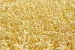 golden wheat field