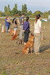 people with dogs