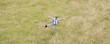 Businessman jumping in field
