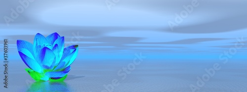 Illustration: Lily flower in blue ocean Lily flower in blue ocean