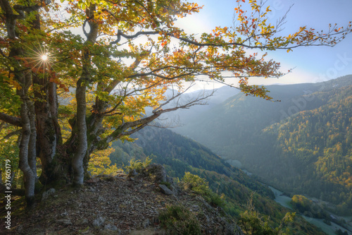 Foto: Black Forest Black Forest