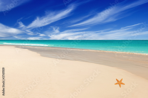 Foto: The Pink Sands Beach on Harbour Island The Pink Sands Beach on Harbour Island