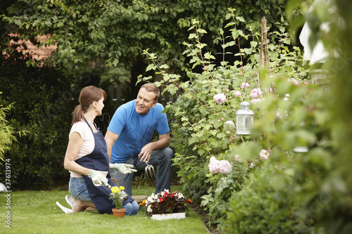 Foto: Couple gardening together in backyard Couple gardening together in backyard