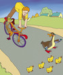 ducklings with duck cross the road on which the boy rides a bike