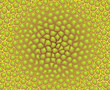 Vector color texture - pattern of cells