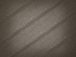 Alligator skin with stripes: useful as background or texture
