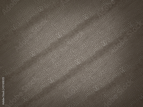 Photo: Alligator skin with stripes: useful as background or texture Alligator skin with stripes: useful as background or texture