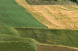 Campagna delle Marche