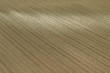 Campagna delle Marche