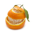 fresh orange