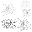 vector cobwebs