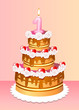 Birthday Candle and Cake