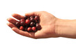 cranberries in hand cranberries in hand