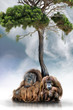 Urang-Utan-Paar Unterm Baum