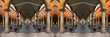 modena modena