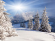 Beautiful winter landscape with snow covered trees.