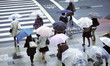 rainy street