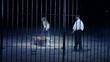 circo, tigri e domatore