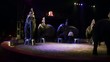 circo, lo show degli elefanti circo, lo show degli elefanti