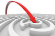 Arrow jumps to the center of the white maze. Concept of success.