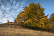 Autumn..