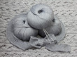 Skeins with knitting needles