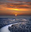 Christmas winter forest Christmas winter forest