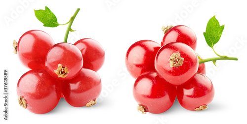 Photo: Red currants isolated on white Red currants isolated on white