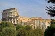 Roman colesseum through trees in the spring Roman colesseum through trees in the spring