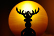 Foto: Elch Rudolph Elch Rudolph