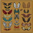 vector set of wings