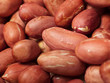Close-up of peanuts