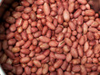 Close-up of peanuts