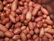 Close-up of peanuts