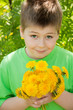 boy with a bouquet of dandelions boy with a bouquet of dandelions