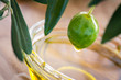 Olive oil