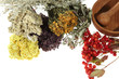 Medicinal herbs on the white background