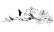 hibiscus and hummingbird