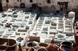 Leather tanning in Fes, Morocco