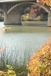 An autumn river flowing under bridge arches An autumn river flowing under bridge arches