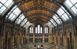 Musée de l'Histoire naturelle, Londres, le dome Musée de l'Histoire naturelle, Londres, le dome