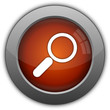 Button Suche