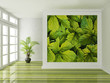 Interior design scene